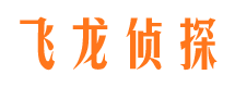 合江侦探